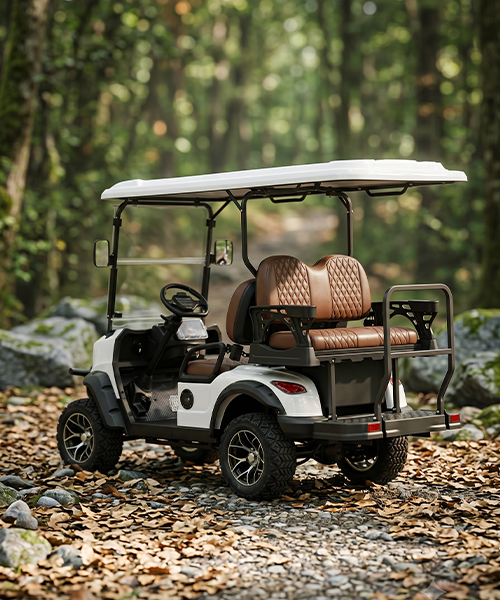 OPUS-Electric-Golf-1C-2