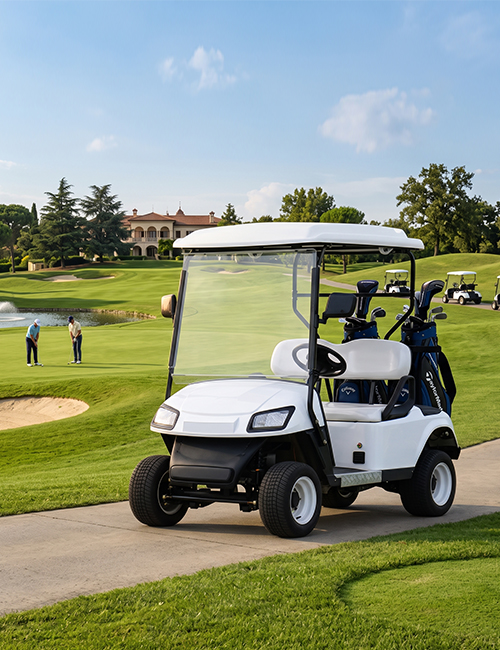 Commercial Golf Cart Fleet